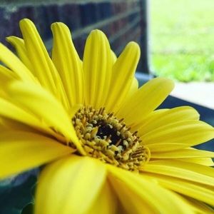 Meet your Posher, Tonya